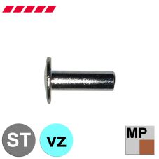 Vollnieten Linsenkopf (Linsennieten, Blechnieten) ähnl. DIN 662 verzinkt (Minipaket)                