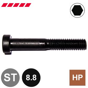 Schrauben Zylinderkopf DIN 7984 08.8 blank (niedriger Kopf und ISK)                     